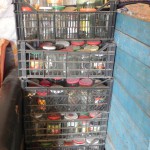 Sachspenden Familie mit 5 Kindern, Craiova (12)
